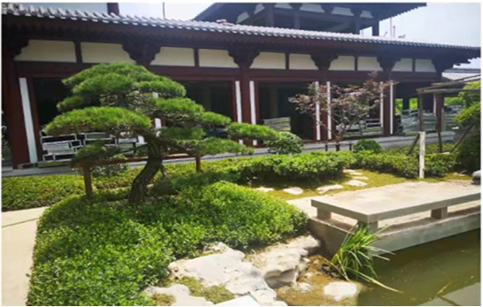 公司项目喜获鲁班奖(1)902.png